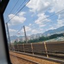 우당아트홀 | 230701] 오월오일 인디스땅스 공연 보러 경복대 우당아트홀 갔어요. 차고지에 갇히고 논바닥에 버려졌어요.