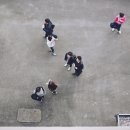 그래이스팬션
