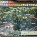 태백고원 700 산소길 이미지