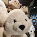 꽁떡 | [시애틀 혼자 여행] Seattle Aquarium 시애틀 아쿠아리움 구경 후기