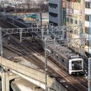 G4913 이미지