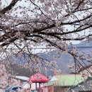 옥천군동이면석탄보건진료소 이미지