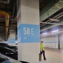 강남동산어린이집 | 서울 실내 나들이, 서울 코엑스 아쿠아리움(SEA LIFE)｜이용방법, 주차팁, 체험놀거리 총정리!