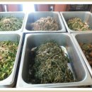 야영장펜션민박 이미지