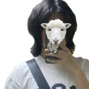 아오브 이미지