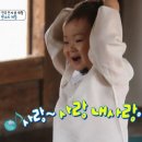 448돈까스 이미지