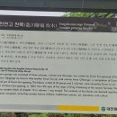 봉곡2교 이미지