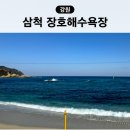 장호바다숲폔션 | 삼척 장호해수욕장 강원도 동해바다 여행 해변 추천 장호항 샤워장