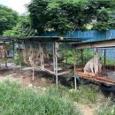 내장농장 이미지