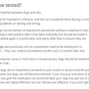 편안한 동물병원 이미지