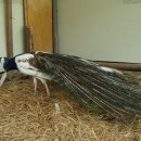 김용칠농장 이미지