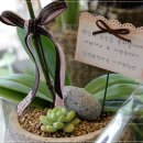 꽃，화분 이미지