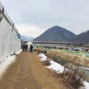 2022 가평겨울여행 자라섬 씽씽겨울축제 송어낚시 체험 상세 후기 (주차, 낚시꿀팁, 할인, 정보)