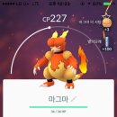 보라매투어 이미지