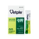 덴탈웨이 이미지