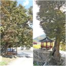 사전2리학동경로당 티스토리