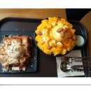 설빙고양