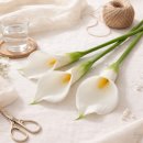 감성으로 채우는 플라워 홈 스타일링 | 집들이·홈 카페에 딱 어울리는 고급스러운 꽃 장식 조화 릴리 플라워🍒