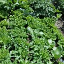 철우농장 이미지