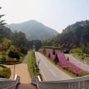 태백 구문소 Daum카페