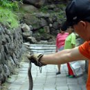 주택가 이미지