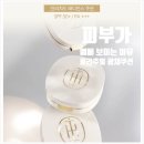 래디언스 | 홀리추얼 인리치드 래디언스 쿠션 솔직 후기｜촉촉한 광채쿠션 추천! 건성·민감 피부도 만족