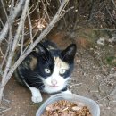 해인약국 이미지