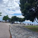 화이트 하우스 이미지