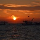 안면도바다사랑낚시 이미지