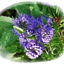 남산추어탕 이미지