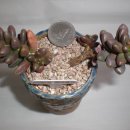 메르디안 이미지