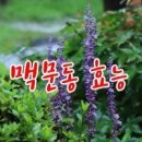 해와달 이미지