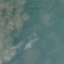 돌고래공인중개사사무소 이미지