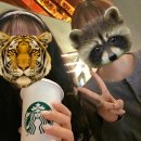 호텔부티앤[HOTEL BUTI&] | 홍콩 여행(3박 5일) 完 - 한식당 맛집 반포 Korean BBQ 삼겹살, 베이크하우스 에그타르트 기내반입...