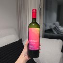 꼰띠고 | 꼰띠고 까베르네 소비뇽 후기｜칠레 레드와인 추천 + 소고기·불닭볶음면 와인 페어링