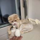 너와나,묘연 이미지