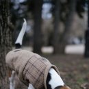 리더스동물병원 이미지