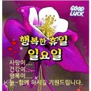행복한 아침 이미지