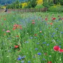 악양생태공원 이미지