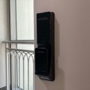 한솔로이젠트 이미지