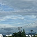 원픽인형뽑기 | 24년 7월 (4) 주간일기