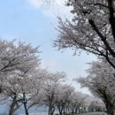 유명닭집