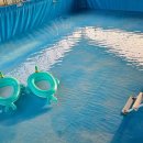 청일관광농원 이미지