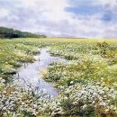 수채화B 이미지