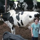 한솔목장 이미지