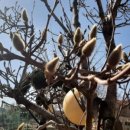 아부지농장 이미지