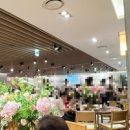지에스25 대치제일점 | [강남웨딩홀] 노블발렌티 대치 25년도 하반기 견적 공유, 계약 후기, 뷔페, 웨딩홀투어