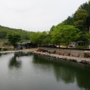 임진리낚시터 이미지