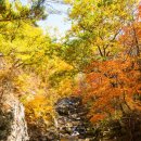 강릉 노추산 모정탑길 단풍트레킹(191020)