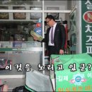 임실앤치즈피자 Daum카페